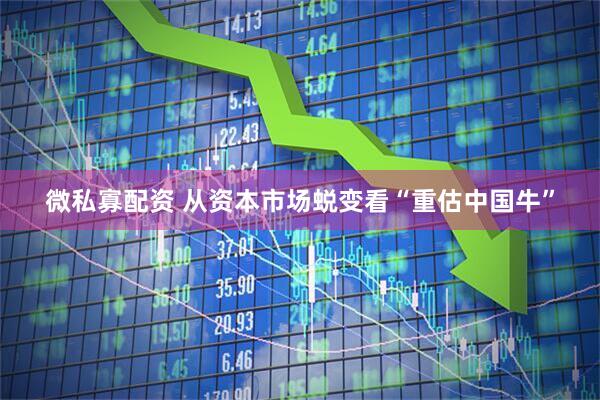 微私寡配资 从资本市场蜕变看“重估中国牛”