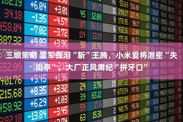 三顺策略 雷军挥泪“斩”王腾，小米爱将泄密“失街亭”，大厂正风肃纪“拼牙口”
