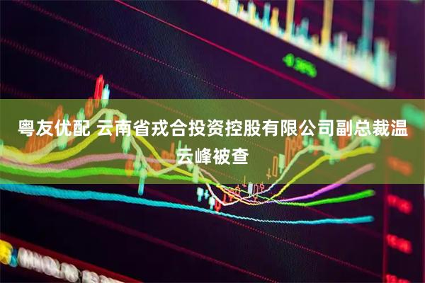 粤友优配 云南省戎合投资控股有限公司副总裁温云峰被查